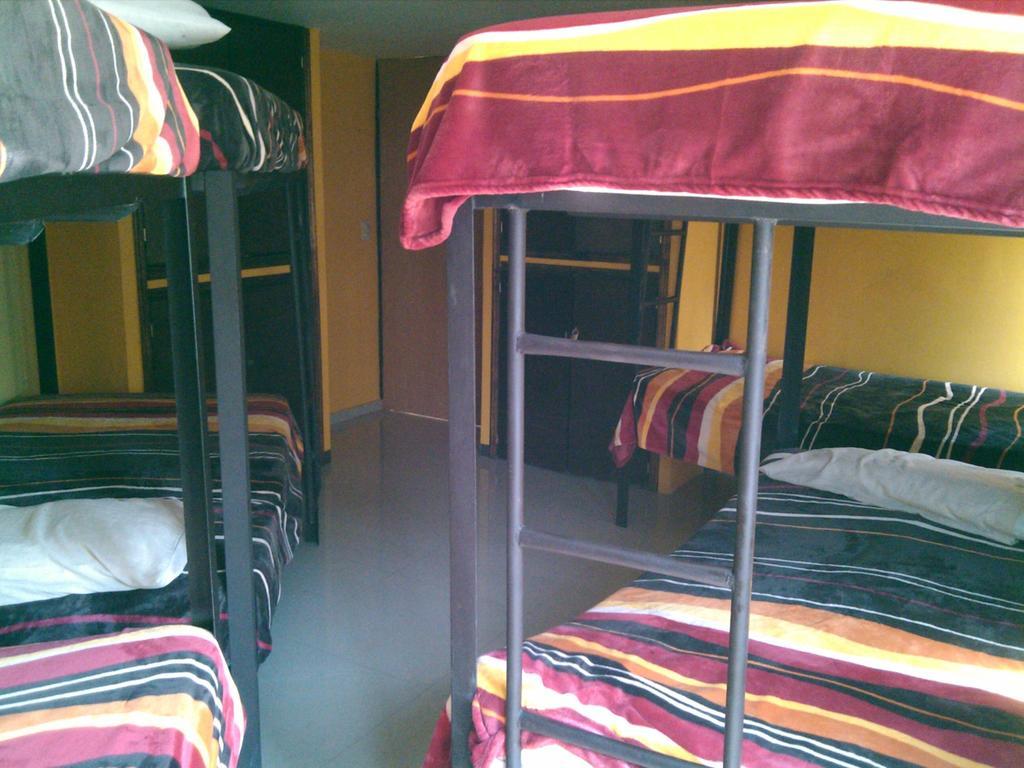 Hostel 399 Conejos Y Yo 墨西哥城 客房 照片
